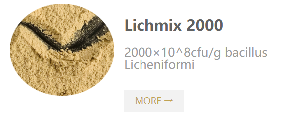 Lichmix 2000(200 billion cfu-g bacillus licheniformis).png